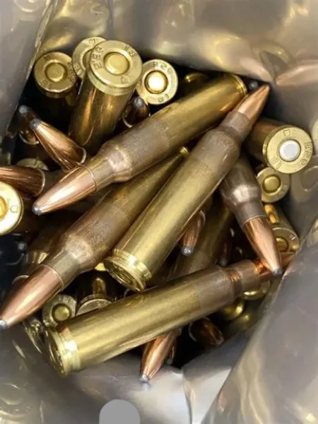 Remington 5.56 NATO Soft Point 500 Rounds