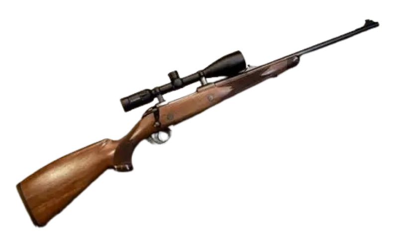 Sako 85 .270 Winchester